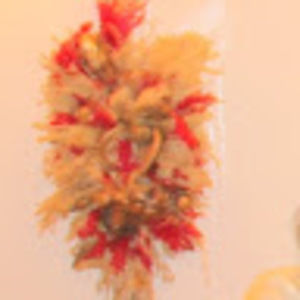 Meet your Posher, Sonia